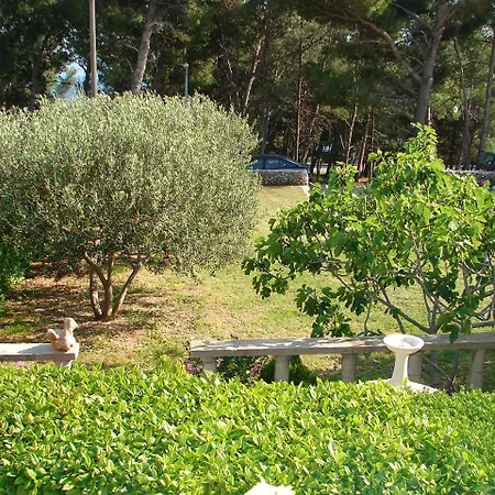 Apartments Mari - Free Parking * Bol